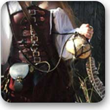 medieval cloth armor