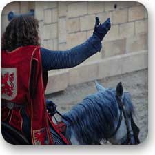 class champion horseback