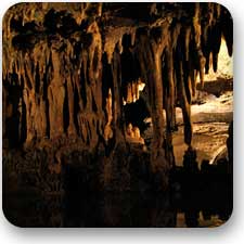 gathering items from a cave