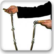 entangling chain whip
