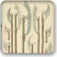 fauchard